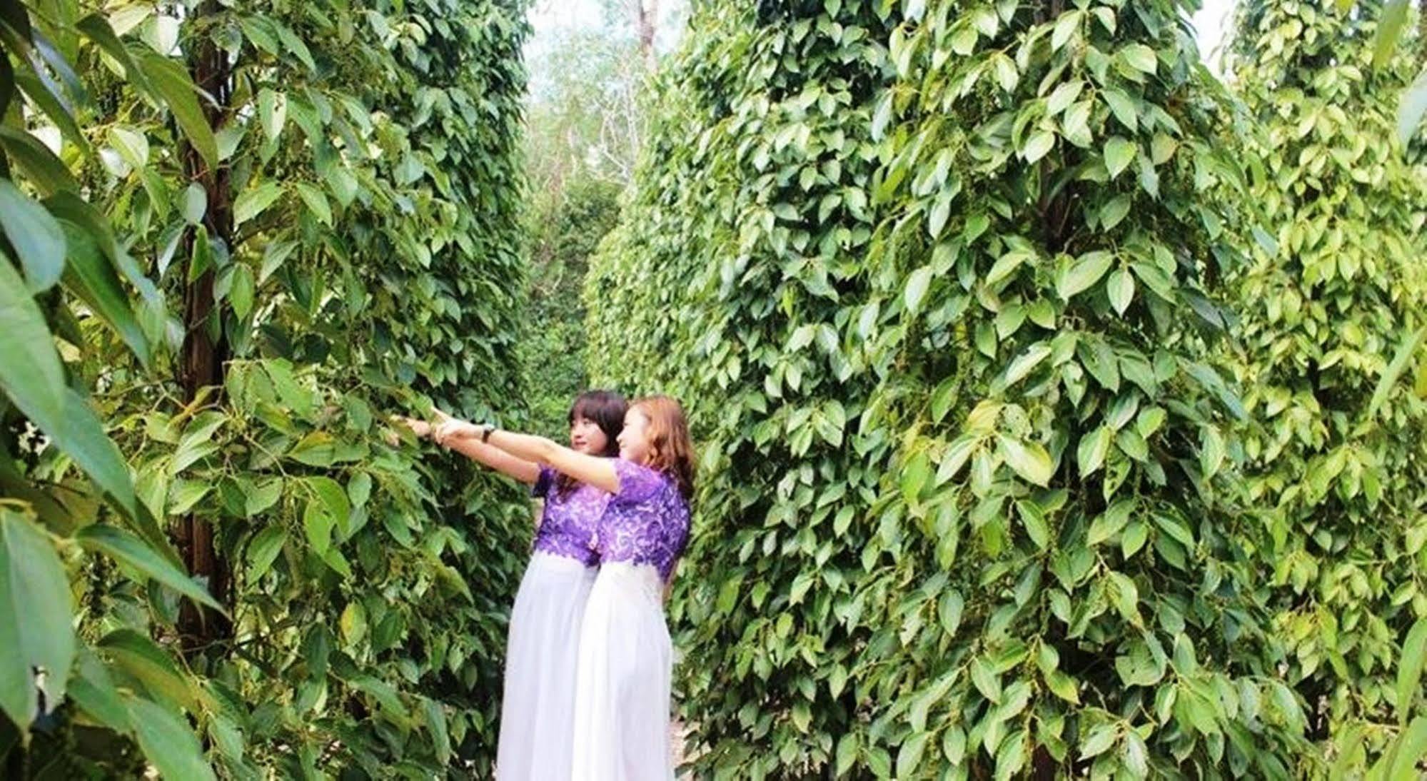 Hotel Pepper Farm Phú Quốc Exterior foto