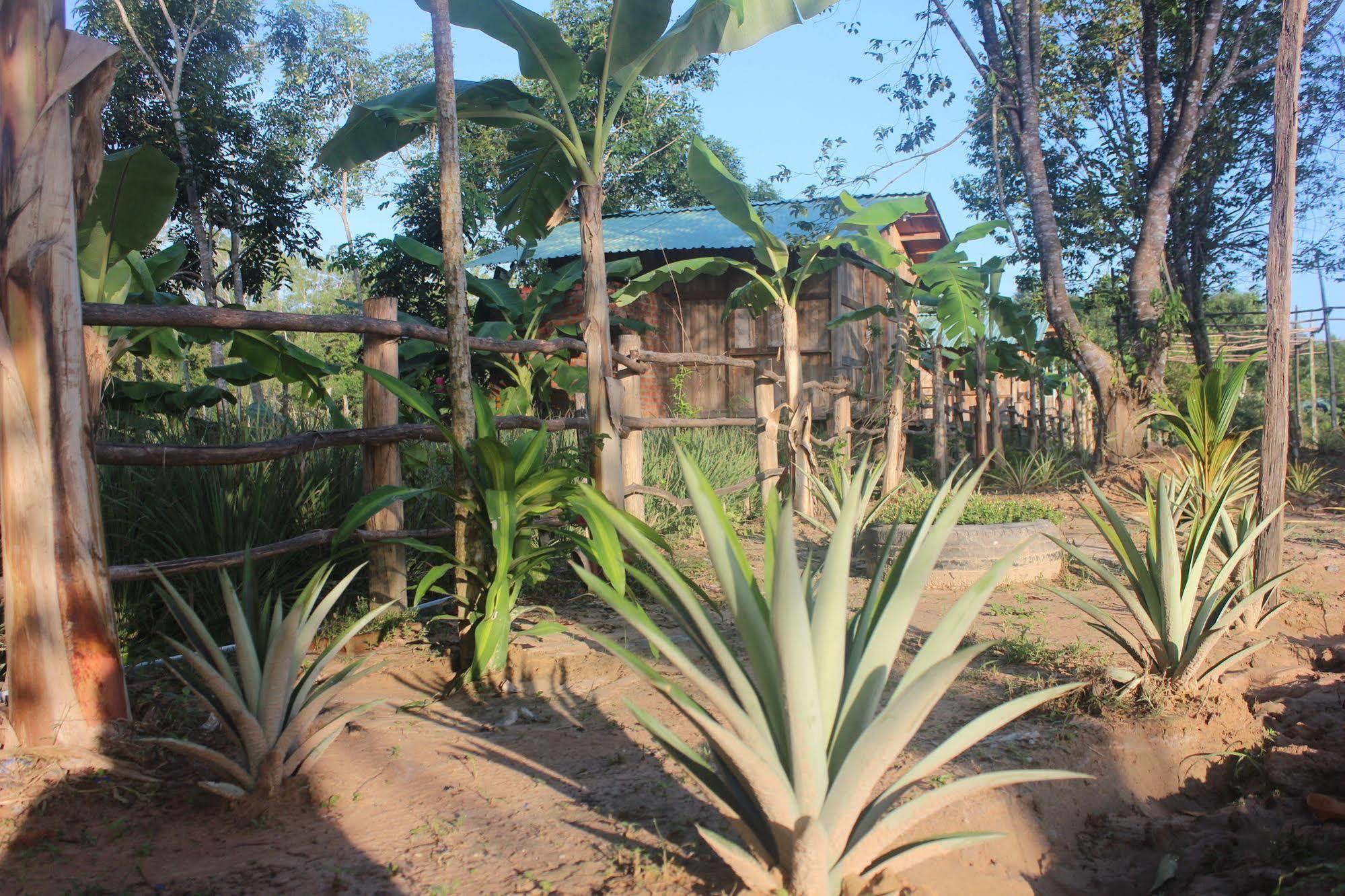 Hotel Pepper Farm Phú Quốc Exterior foto