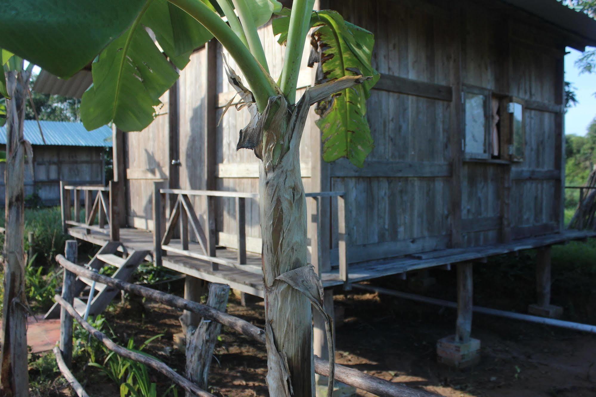 Hotel Pepper Farm Phú Quốc Exterior foto